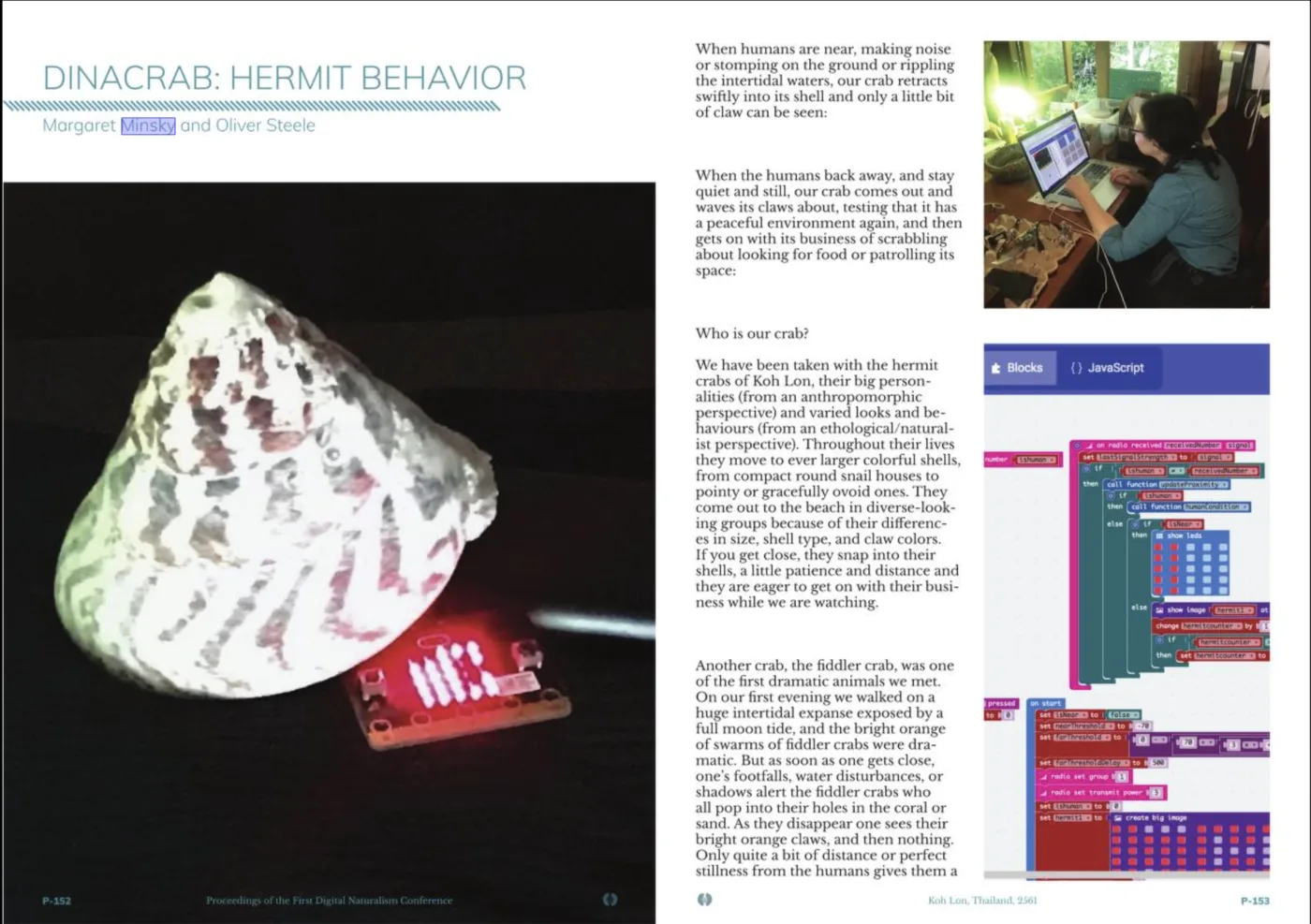 DinaCrab hermit-behavior installation
