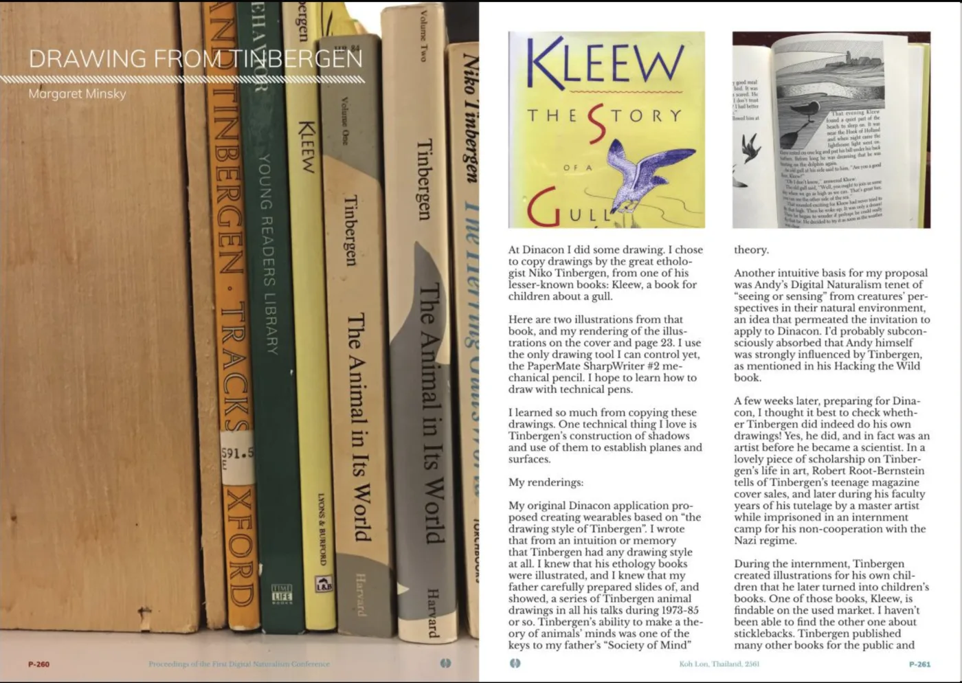 Drawings from Tinbergen